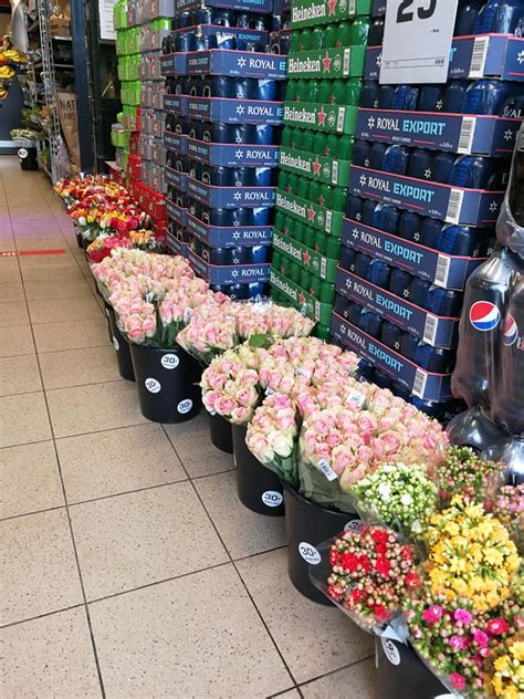 Send blomster Hundested 